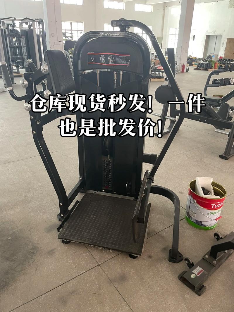 哑铃专卖市场趋势洞察